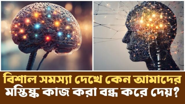 কেন আমরা লাখ লাখ মানুষকে সাহায্য না করে একজনকে করতে বেশি আগ্রহী?