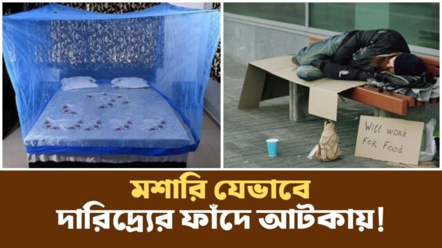মশারি না থাকলে কেন বাড়ে দারিদ্র্য? | Vaccination | Podcast |